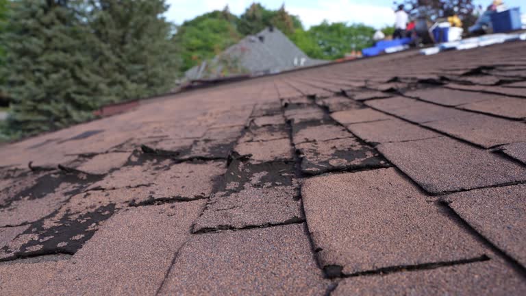 Sheet Metal Roofing in Scottsbluff, NE